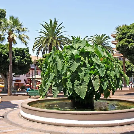 Heaven In Canary Islands 88 Apartamento *